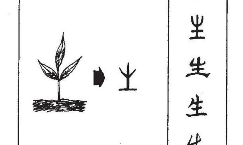 蛋白锌和锌有什么区别-权威蛋白锌补锌效果好吗女性平台,分享专业蛋白锌和锌有什么区别知识_蛋白锌补锌效果好吗网